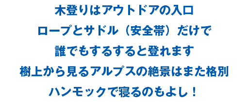 木登りはアウトドアの入口 ロープとサドル（安全帯）だけで 誰でもするすると登れます 樹上から見るアルプスの絶景はまた格別 ハンモックで寝るのもよし！